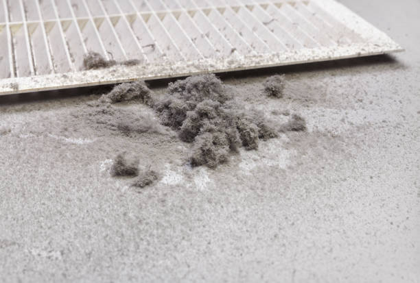 Best Affordable Duct Cleaning Services  in North Bay Village, FL