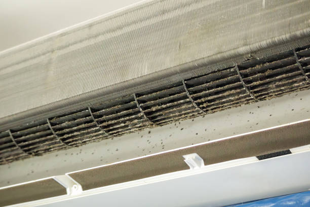 Best Professional Duct Cleaning Services  in North Bay Village, FL