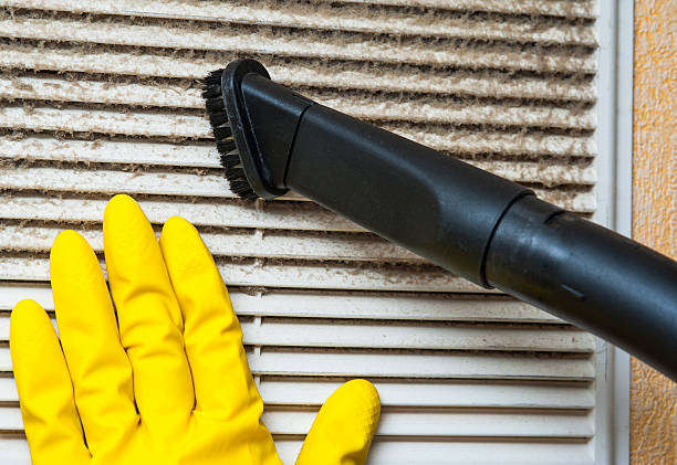 Best Ductwork Cleaning Services  in North Bay Village, FL